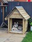 Kennel