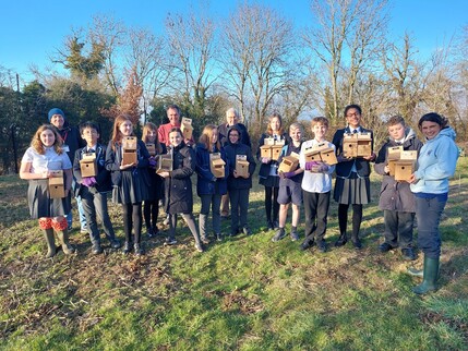 STFS bird boxes